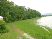 Fotka