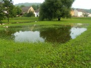 Fotka