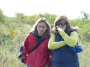 Fotka