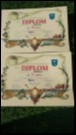 Fotka